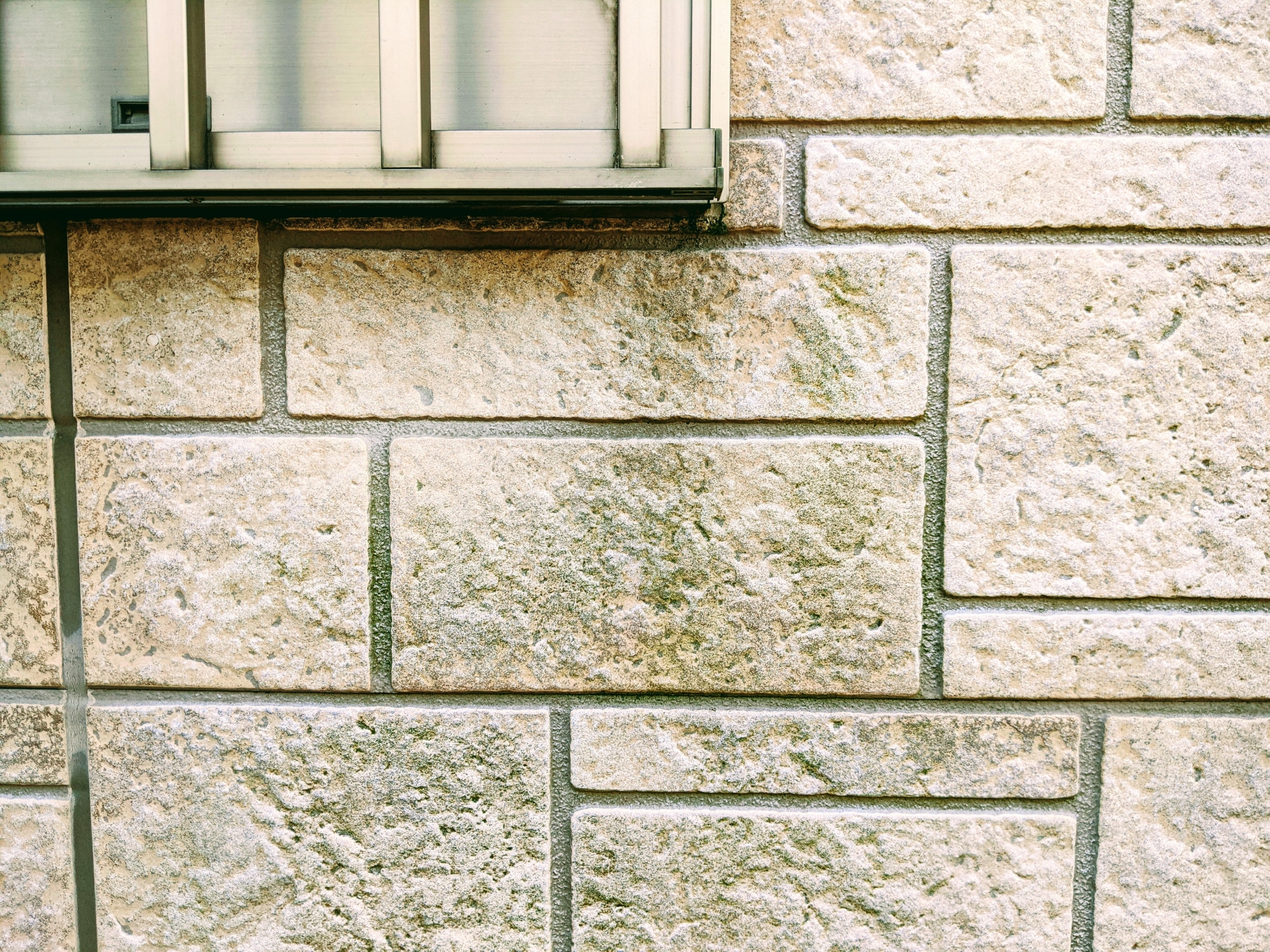 外壁に発生したコケ・藻