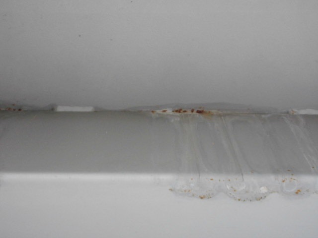 マスキングテープ貼り付けとプライマー塗布の作業状況