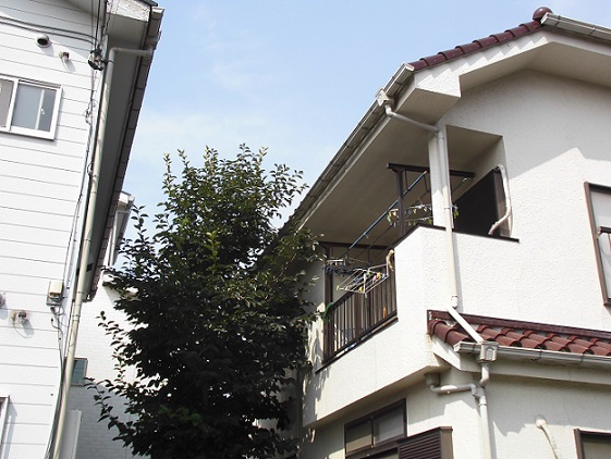 新設した角樋の施工完了後の状態