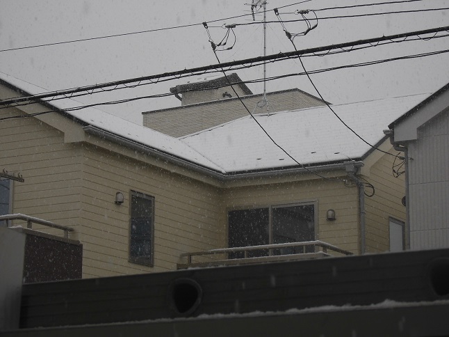 新築コロニアル屋根に雪が残り、等間隔の黒い点として雪止め金具が見える状態