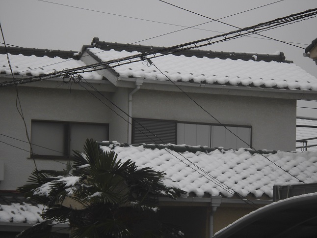 瓦屋根の軒先。雪が大きく覆いかぶさるように張り出している雪庇