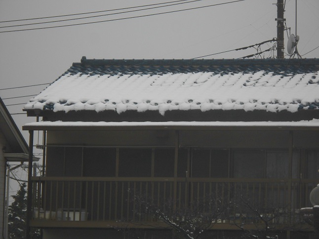ソーラーパネル屋根。パネル表面には雪がほとんどなく既に滑り落ちている状態