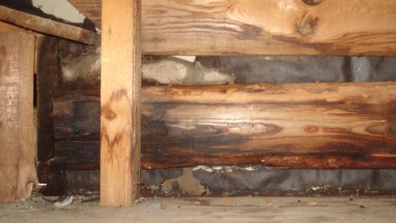 押入れ天袋から見た天井裏の状況。破風と野地板の位置関係が確認できる