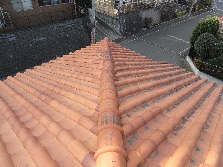 蛇行・変形した降り棟の全体像。修繕が急がれる状態