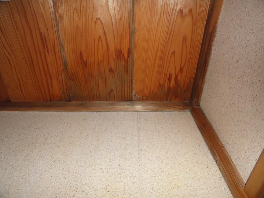 天井板に広がった雨漏りのしみ。長期間にわたる雨水の浸入で広範囲が変色している状態