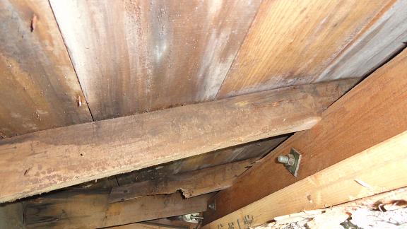 野地板・タルキ交換および隅木補強後の状況