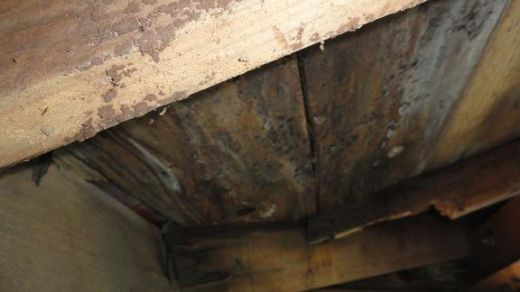 修繕完了後の外観。モルタル・塗装・雨樋すべて新しくなった状態