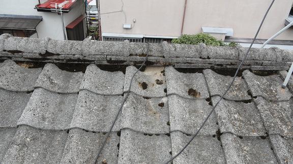 棟から2枚目の割れた瓦。ひび割れから雨水が浸入していた