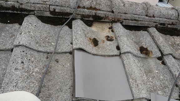 応急処置完了後の全体確認。板金が瓦を覆い雨仕舞いを確保した状態